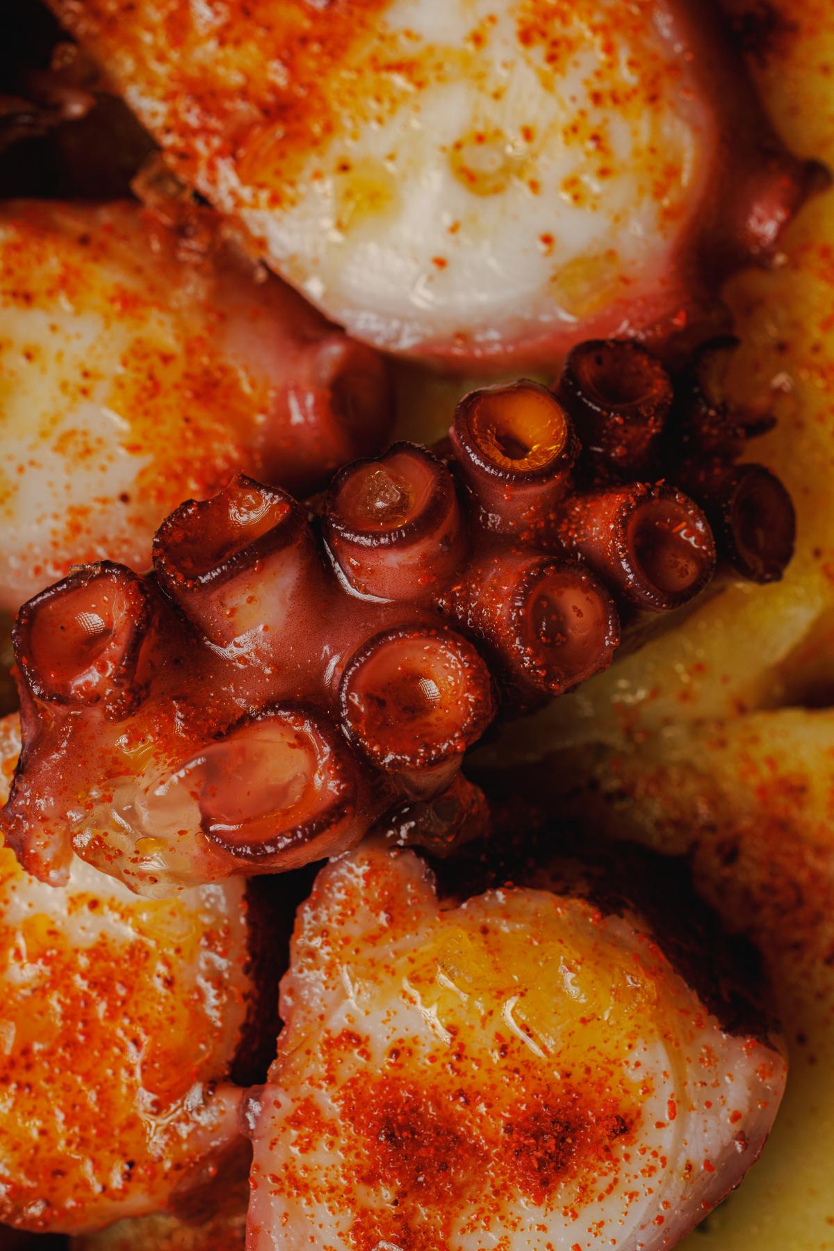 Pulpo con patata y piperrada